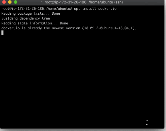 AWS EC2 running Ubuntu terminal