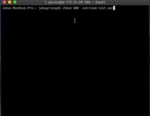 GIF Showing Ubuntu terminal connecting